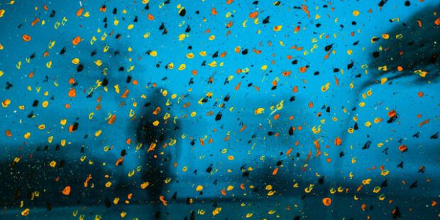 Physiker schufen “Seifenblase”, die mehr als ein Jahr überlebte