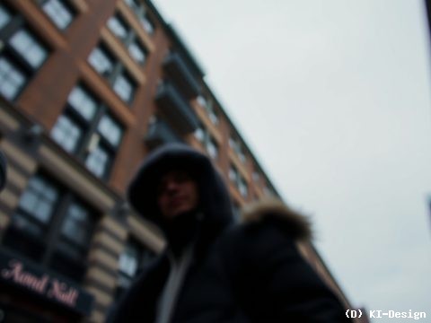 „Es werden viel zu viele gefällt“ – Umweltaktivist wirft Berliner CDU Täuschung vor